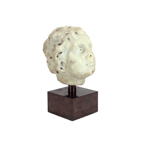 1114 - A Renaissance marble head of a cherubic youth. With curled hair, height 19cm, on a bespoke stand, ov... 