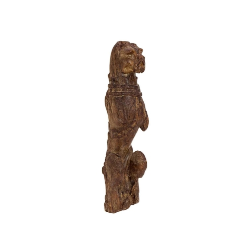 1130 - An oak 'Kings Beast' carved figure. Tudor, circa 1530, wearing a studded collar and with the tail cu... 