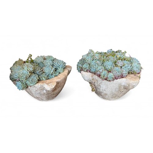 1231 - Two marble mortars. 18th/19th century, each planted with succulents (2). Height: 17cm. Max diameter ... 