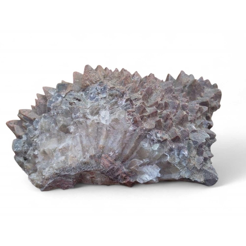 196 - Minerals Calcite Dog Tooth Originating from Mexico, 20cm x 14cm