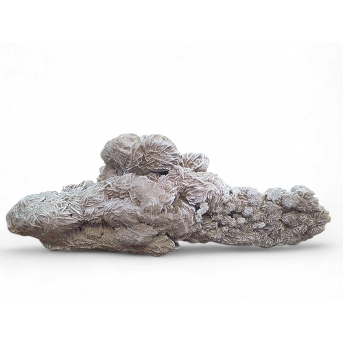 197 - Minerals Desert Rose Sahara Desert, Africa, 38cm x 15cm.