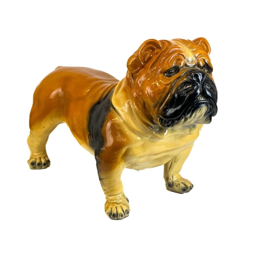 43 - A life size plaster model of a bulldog.. With painted detail, height 48cm, length 70cm.