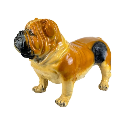 43 - A life size plaster model of a bulldog.. With painted detail, height 48cm, length 70cm.