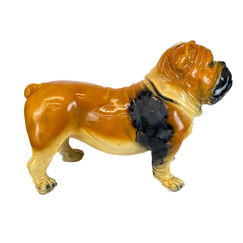 43 - A life size plaster model of a bulldog.. With painted detail, height 48cm, length 70cm.