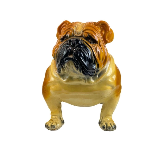 43 - A life size plaster model of a bulldog.. With painted detail, height 48cm, length 70cm.