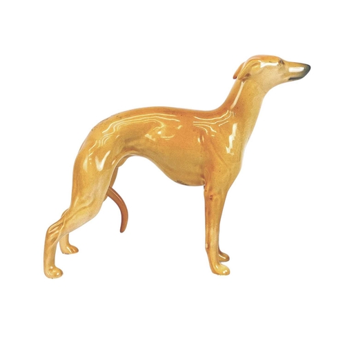 465 - A Beswick figure of a whippet. With curled tail, height 12cm.