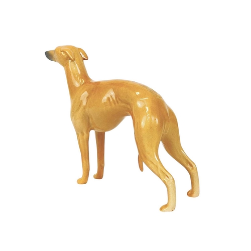 465 - A Beswick figure of a whippet. With curled tail, height 12cm.