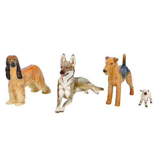 483 - A Beswick Afghan hound and an Airedale terrier. 'Hajubah of Davlan' and 'Cast Iron Monarch', a Beswi... 