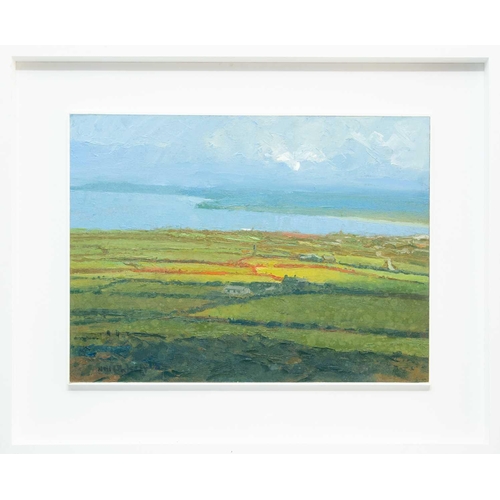 128 - § Neil PINKETT (1958) Clouds & Sun: St Ives Fields II Oil on board, signed, artist's label to verso,... 