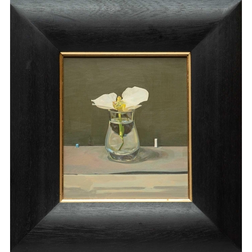 272 - § Jason WALKER (1969) Magnolia Oil on board, 19 x 17cm, 35 x 32cm framed.