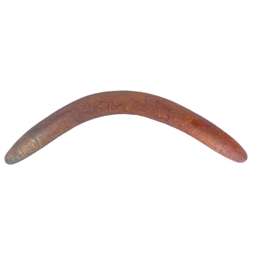 48 - An aboriginal hardwood boomerang. With incised kangaroo decoration, length 70.5cm.