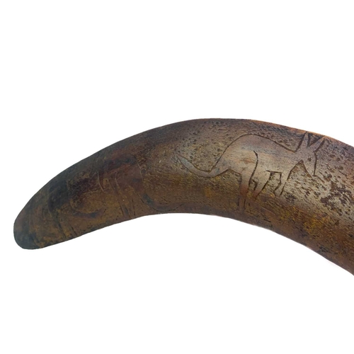 48 - An aboriginal hardwood boomerang. With incised kangaroo decoration, length 70.5cm.