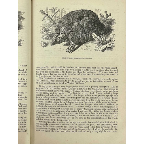 361 - Natural History Six works. J. G. Wood. 'The Illustrated Natural History,' three volumes, uniform gre... 