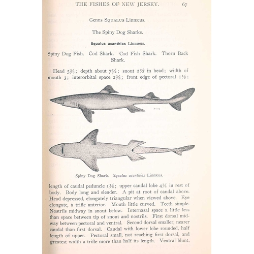 367 - § (Ichthyology) Four Works THE FISHES & FISHERIES OF THE GOLD COAST By F.R. Irvine (1947) With illus... 