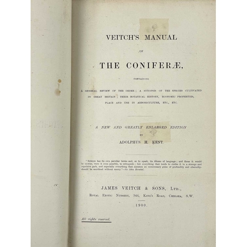 396 - (Botany) Adolphus H. Kent Veitch’s Manual of the Coniferae Published by James Veitch & Sons Ltd Roya... 