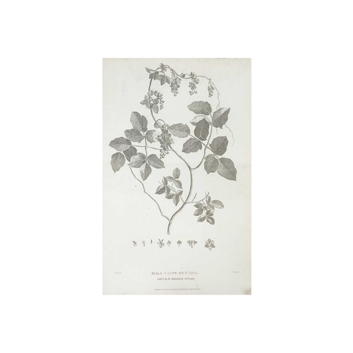 427 - Approximately twenty seven botanical prints Two hand coloured and mounted, From Sir John Hill’s 'The... 