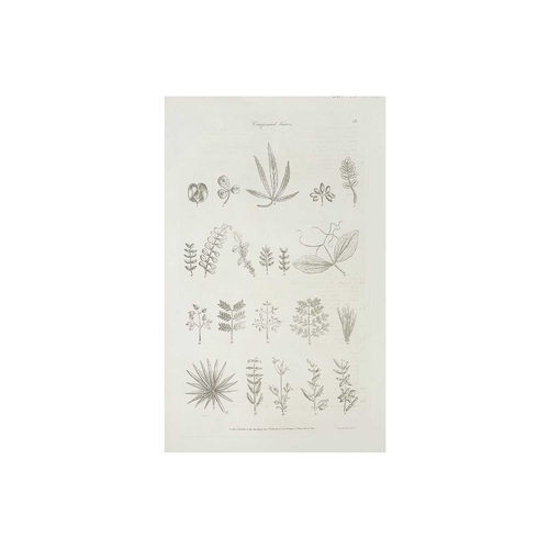 427 - Approximately twenty seven botanical prints Two hand coloured and mounted, From Sir John Hill’s 'The... 