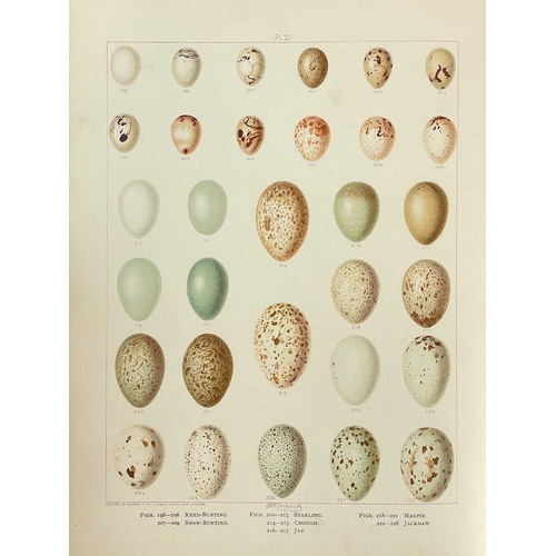 476 - (Ornithology) Arthur G. Butler et al British Birds, their Nests and Eggs Six volumes, uniform full g... 