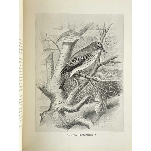 476 - (Ornithology) Arthur G. Butler et al British Birds, their Nests and Eggs Six volumes, uniform full g... 