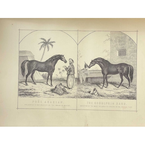 498 - (Natural History and Farriery) Two works Mrs Mary Trimmer. 'A Natural History of the Most Remarkable... 