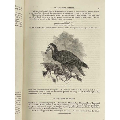 526 - (Ornithology) Cassell's Popular Natural History. Birds Volume III only, half calf with marbled board... 