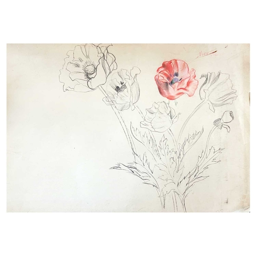 1037 - Frederick ROBERTS JOHNSON (1900-1986) Six floral studies Mixed media, three signed, with name or ini... 