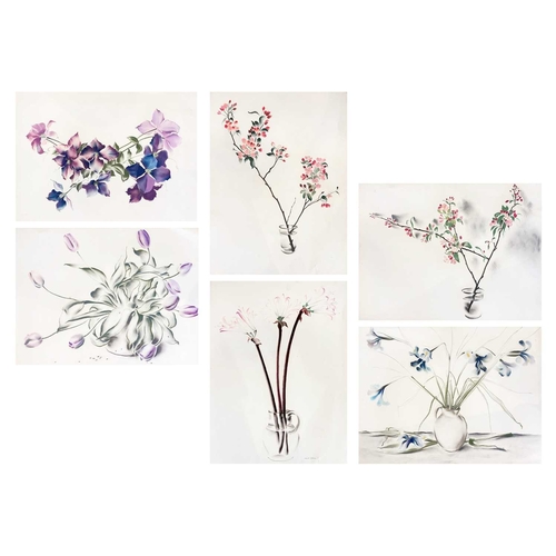 1107 - Frederick ROBERTS JOHNSON (1900-1986) Six Floral Studies Mixed media on paper, one signed, each 64cm... 