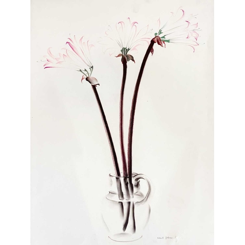 1107 - Frederick ROBERTS JOHNSON (1900-1986) Six Floral Studies Mixed media on paper, one signed, each 64cm... 