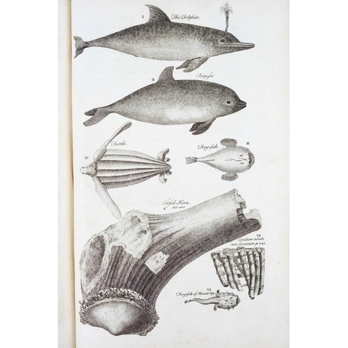 245 - William Borlase The Natural History of Cornwall First edition, contemporary full calf, morocco label... 