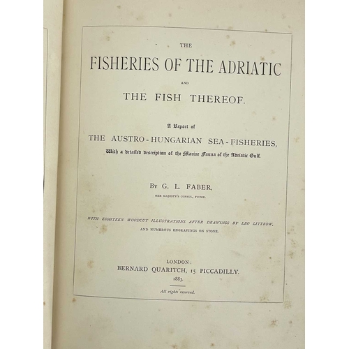 26 - G. L. Faber The Fisheries of the Adriatic and the Fish thereof. A Report of the Austro-Hungarian Sea... 