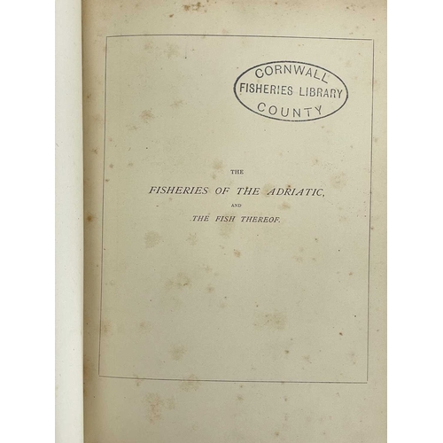 26 - G. L. Faber The Fisheries of the Adriatic and the Fish thereof. A Report of the Austro-Hungarian Sea... 