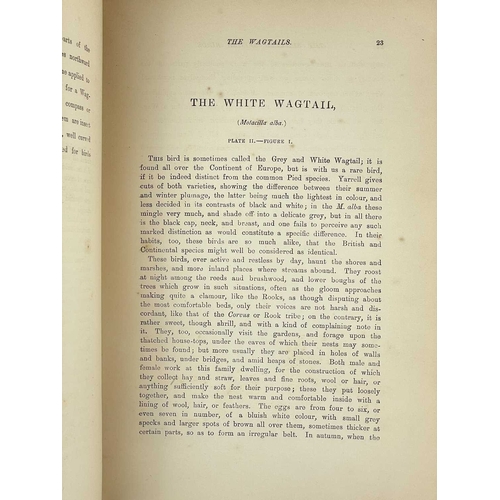 348 - (Natural History) Four works J. Bretland Farmer (ed). 'The Book of Nature Study,' vols I III VI, dec... 