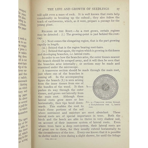 348 - (Natural History) Four works J. Bretland Farmer (ed). 'The Book of Nature Study,' vols I III VI, dec... 