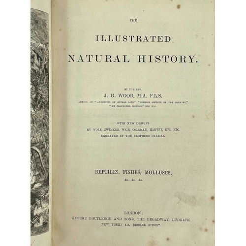 361 - Natural History Six works. J. G. Wood. 'The Illustrated Natural History,' three volumes, uniform gre... 