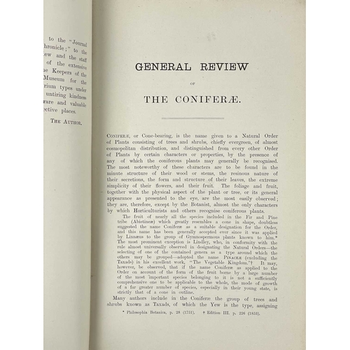 396 - (Botany) Adolphus H. Kent Veitch’s Manual of the Coniferae Published by James Veitch & Sons Ltd Roya... 