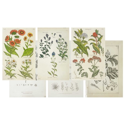 427 - Approximately twenty seven botanical prints Two hand coloured and mounted, From Sir John Hill’s 'The... 