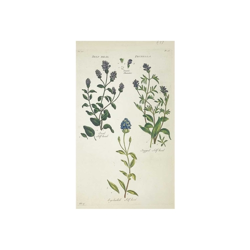 427 - Approximately twenty seven botanical prints Two hand coloured and mounted, From Sir John Hill’s 'The... 