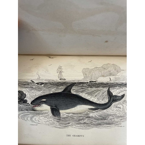 445 - The Naturalists Library Thirty three volumes Including examples of Birds (14), Fishes (6), Animals (... 