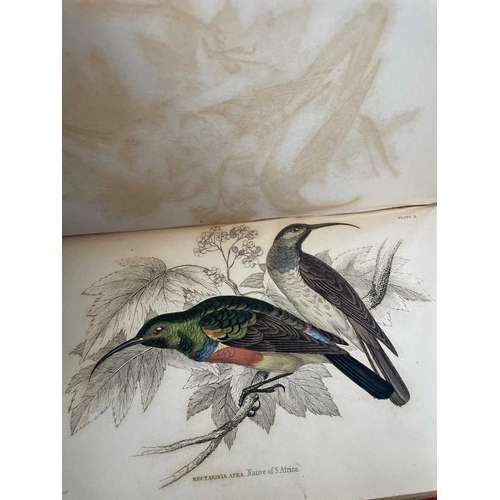 445 - The Naturalists Library Thirty three volumes Including examples of Birds (14), Fishes (6), Animals (... 