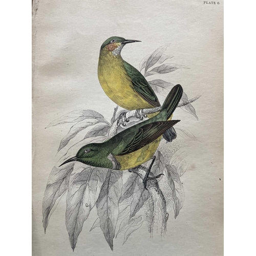 445 - The Naturalists Library Thirty three volumes Including examples of Birds (14), Fishes (6), Animals (... 