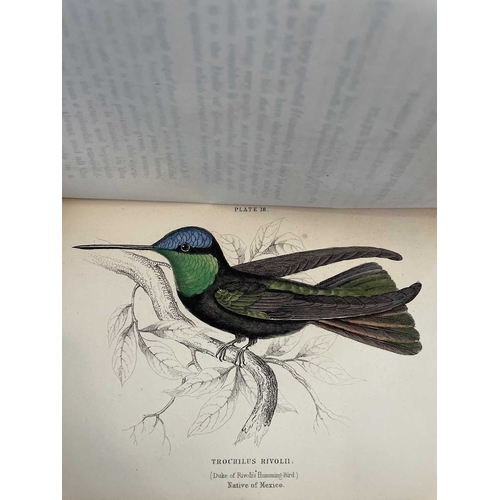 445 - The Naturalists Library Thirty three volumes Including examples of Birds (14), Fishes (6), Animals (... 