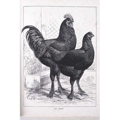 454 - S. H. Lewer Wright's Book of Poultry Half red morocco, colour illustrations throughout, good to very... 