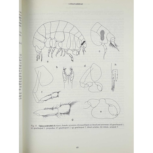 528 - (Natural History) A MONOGRAPH OF THE RECENT CEPHALOPODA BASED ON THE COLLECTIONS IN THE BRITISH MUSE... 