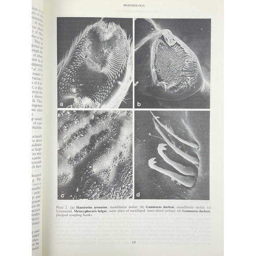 528 - (Natural History) A MONOGRAPH OF THE RECENT CEPHALOPODA BASED ON THE COLLECTIONS IN THE BRITISH MUSE... 