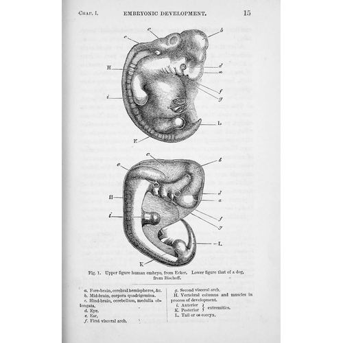 54 - Charles Darwin The Descent of Man and Selection in Relation to Sex Eighth thousand, vol I only, orig... 