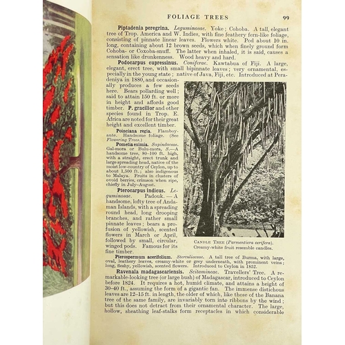 73 - (Pacific Islands) Twelve works Walter E. Traprock. 'The Cruise of the Kawa. Wanderings in the South ... 