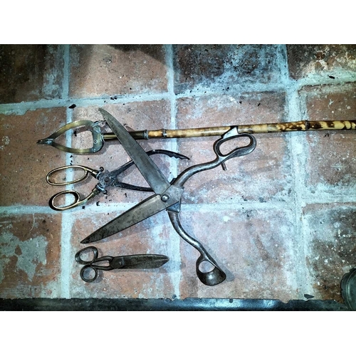 131 - ± Clemence's Ironmongers Iron tailors shears etc A pair of French shears by 