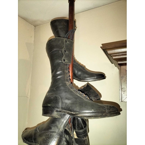 177 - ± Public Benefit Boot Company Six pairs of Victorian and later boots Hanging from a display wood and... 