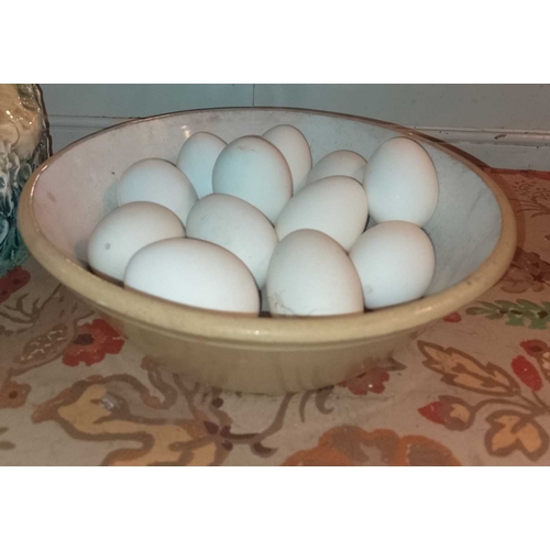 77 - ± Plaister’s Dairy Egg Displays etc Including a pancheon and Barum bowls, other bowls with blown and... 