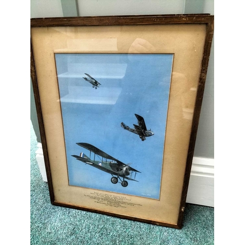 1079 - ± Entrance 7 Taxidermy Sonbgbirds Geoffrey Reeves Aeroplane portraits, 